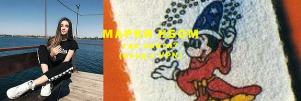 хмурый Гусев