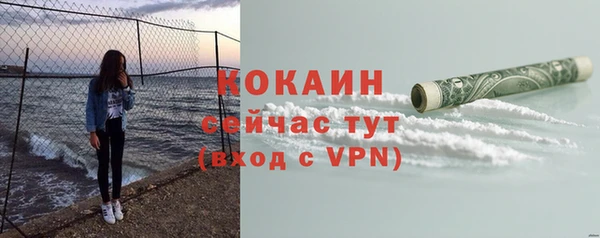 сатива Гусь-Хрустальный