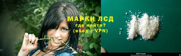 сатива Гусь-Хрустальный