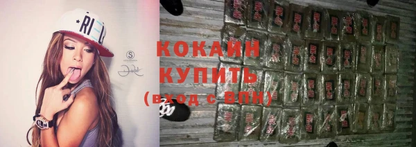 хмурый Гусев